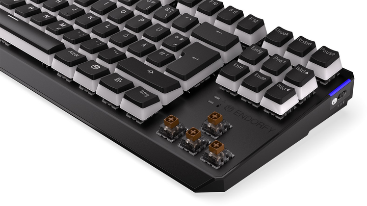 Клавіатура бездротова Endorfy Thock TKL Pudding DE Kailh Box Brown Wireless Black (EY5D016) - зображення 11