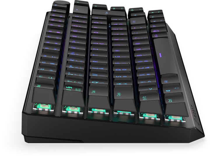 Клавіатура бездротова Endorfy Thock 75% HU Kailh Box Black Wireless Black (EY5E008) - зображення 6