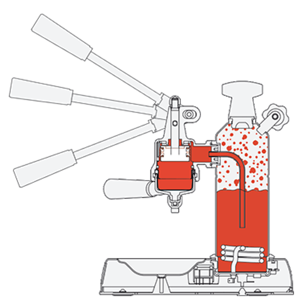 Pavoni europiccola outlet