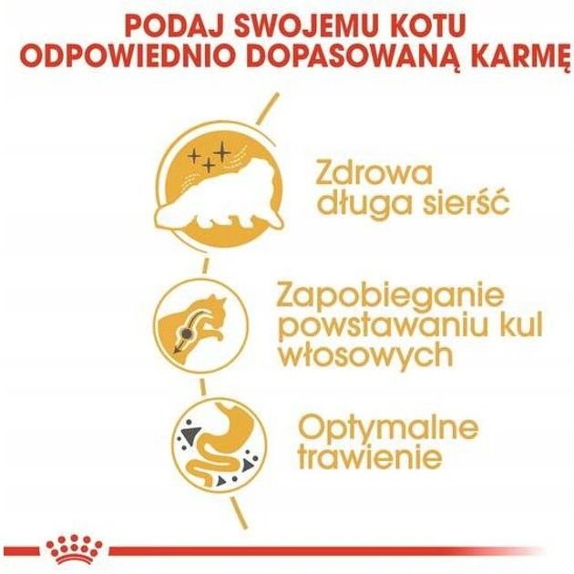 Sucha karma Royal Canin Persian Adult dla kotów dorosłych rasy perskiej 400 g (3182550702607) - obraz 6