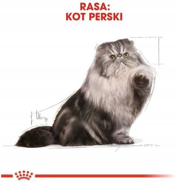 Сухий корм Royal Canin Persian Adult для дорослих котів персидської породи 2 кг (3182550702614) - зображення 5