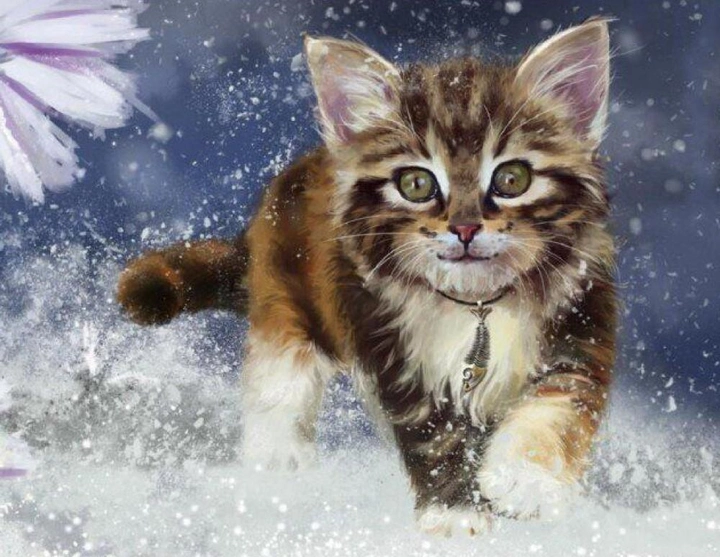 Zestaw do haftu diamentowego Norimpex Kot w śniegu 30 x 40 cm (5902444052506) - obraz 1