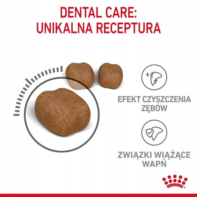 Sucha karma dla kotów Royal Canin Dental Care Pielęgnacja jamy ustnej 8 kg (3182550721622) - obraz 3