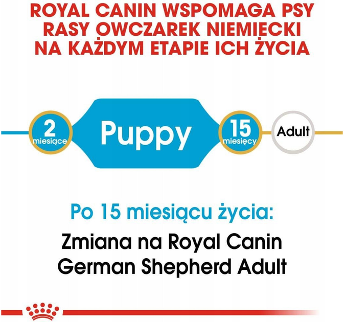Сухий корм Royal Canin German Shepherd Puppy для цуценят німецької вівчаркив 3 кг (3182550724142) - зображення 5