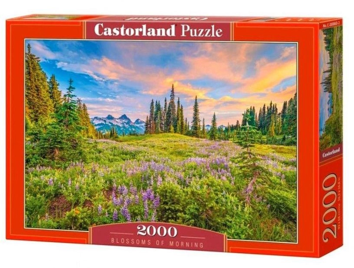 Puzzle Castorland Górska polana 2000 elementów (5904438200863) - obraz 1