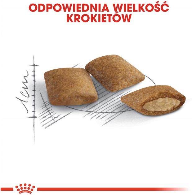 Sucha karma Royal Canin Senior Ageing dla kotów 12+ 2 kg (3182550786218) - obraz 3