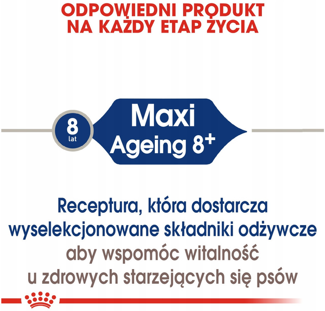 Sucha karma dla psów dużych ras powyżej 8 roku życia Royal Canin Maxi Ageing 8+ 15 kg (3182550803113) - obraz 3
