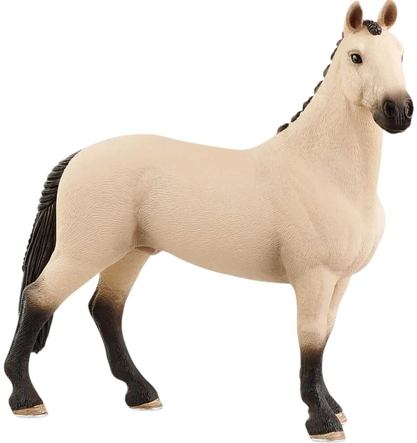 Figurka Schleich Horse Club Hanowerski wałach 12 cm (4059433690261) - obraz 1