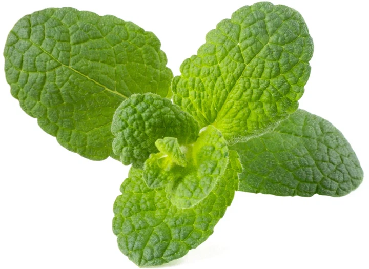 Wkład wymienny Click&Grow Mięta jabłkowa 3 kapsułki (4742793001814) - obraz 2