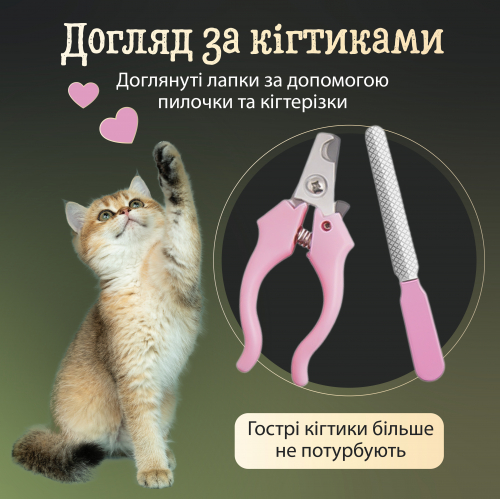 Набір для грумінгу Saeday SD-865 для стрижки домашніх тварин 4 в 1, золото(SD865GL)(PEROLUGI) - Фото 5 Набір для грумінгу Saeday SD-865 для стрижки домашніх тварин 4 в 1, золото(SD865GL)(PEROLUGI) - изображение 5