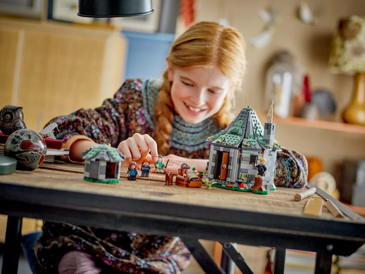 Zestaw klocków LEGO Harry Potter Chatka Hagrida: niespodziewana wizyta 896 elementów (76428) - obraz 9