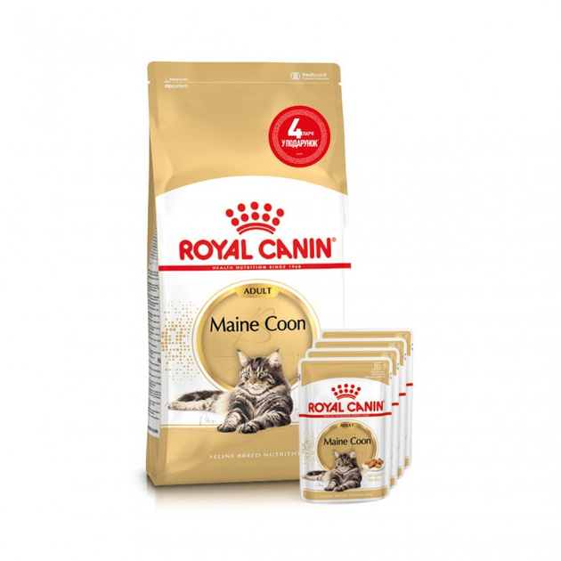 Royal Canin Maine Coon Adult