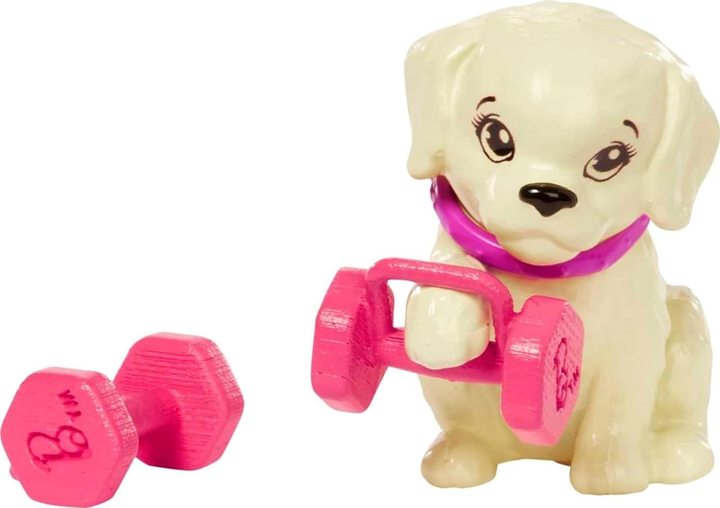 Lalka z akcesoriami Mattel Barbie Kariera Relaks Fitness 29 cm (0194735108183) - obraz 5