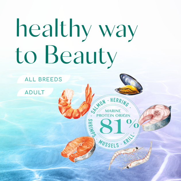 Сухий корм для котів Optimeal Beauty Fitness 4 кг - морепродукти - изображение 8