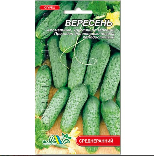 Семена Огурец Вересень среднеранний 1 г - Фото 1 Семена Огурец Вересень среднеранний 1 г - изображение 1