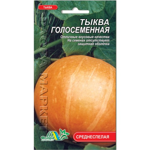 Семена тыква Голосеменная среднеспелый 1.6 г - Фото 1 Семена тыква Голосеменная среднеспелый 1.6 г - изображение 1
