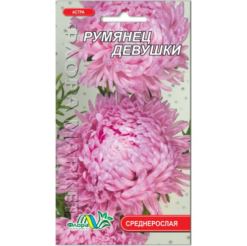Семена Астра Румянец девушки игольчатая нежно-розовый 0.3 г - Фото 1 Семена Астра Румянец девушки игольчатая нежно-розовый 0.3 г - изображение 1