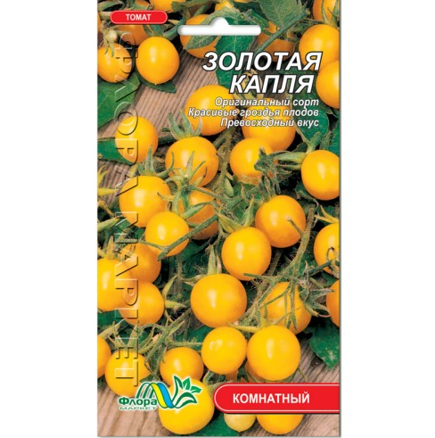 Семена Томат Золотая капля комнатный золотистый среднеспелый 0.1 г - Фото 1 Семена Томат Золотая капля комнатный золотистый среднеспелый 0.1 г - изображение 1