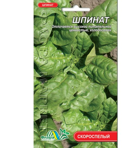 Насіння Шпинат скоростиглий 1.5 г - Фото 1 Насіння Шпинат скоростиглий 1.5 г - зображення 1