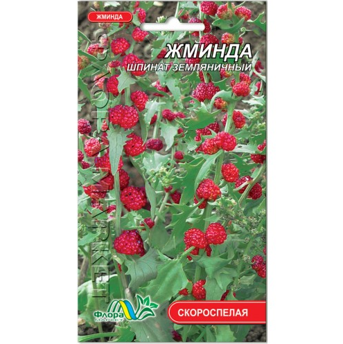 Насіння Шпинат Жминда суничний скоростиглий 0.1 г - Фото 1 Насіння Шпинат Жминда суничний скоростиглий 0.1 г - зображення 1
