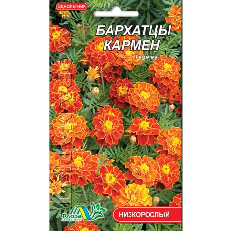 Насіння чорнобривці Кармен однорічник низькорослий 0.3 г - Фото 1 Насіння чорнобривці Кармен однорічник низькорослий 0.3 г - зображення 1