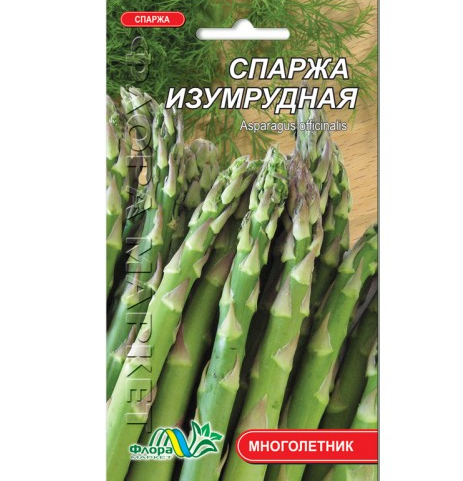Насіння Спаржа Смарагдова сортова багаторічник 0.5 г - Фото 1 Насіння Спаржа Смарагдова сортова багаторічник 0.5 г - зображення 1