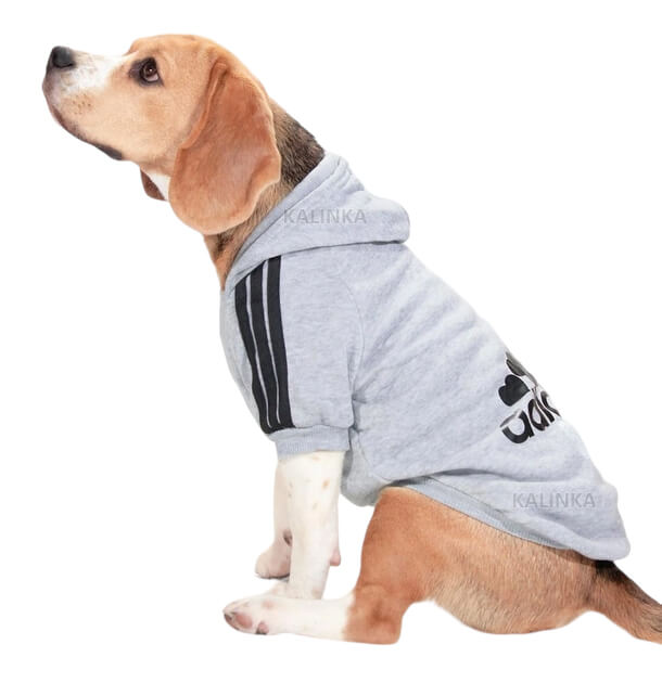 Толстовка для собак с капюшоном Adidog 6XL Серый TM Novynka от продавца ...