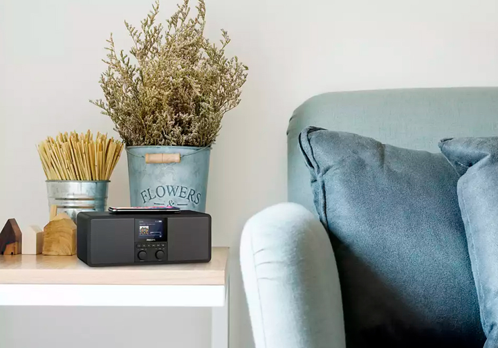 Głośnik przenośny z wbudowanym radiem Philips TAR8805 Black (TAR8805/10) - obraz 3