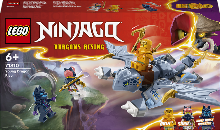 Конструктор LEGO Ninjago Молодой дракон Рию 132 детали (71810) Конструктор LEGO Ninjago Молодой дракон Рию 132 детали (71810)