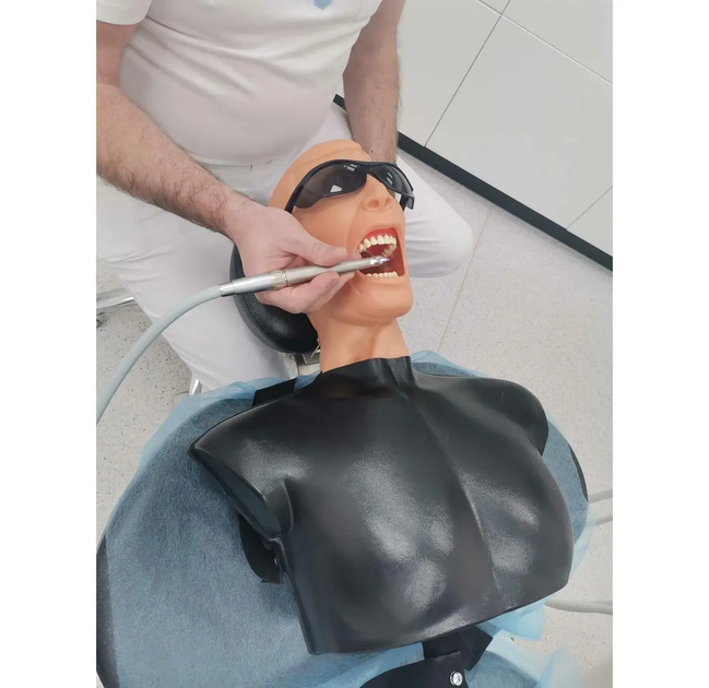 Итальянский стоматологический манекен, фантом для демонстрации навыков, учебная анатомическая модель - изображение 2