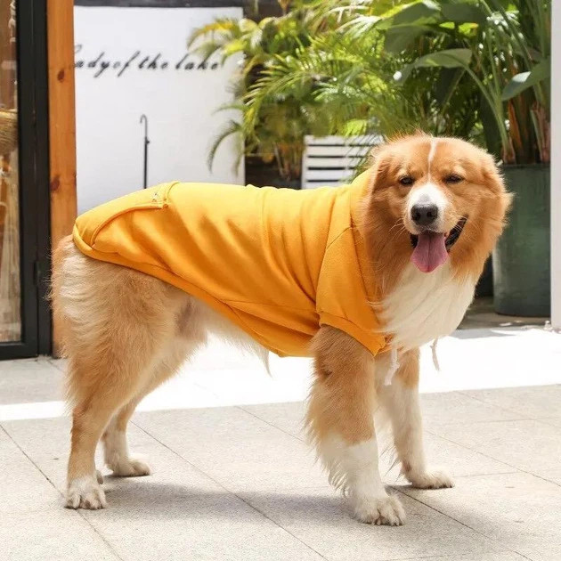 Толстовка "Rokki" Yellow Size XL - Фото 2 Толстовка "Rokki" Yellow Size XL - изображение 2
