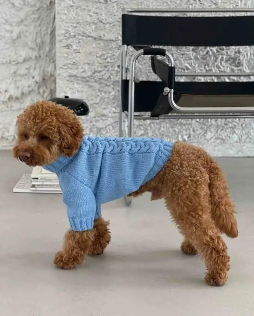 Свитер для собак вязаный Косичка голубой Y-284 6р от продавца: BSP Shop ...