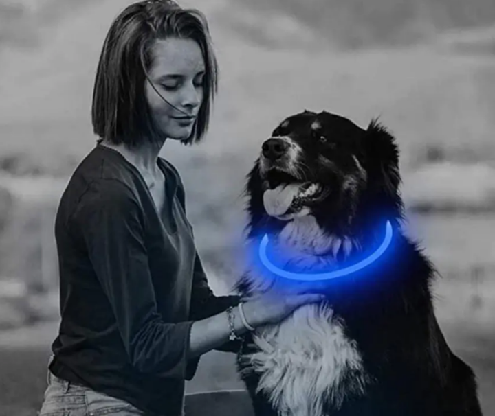 Светящийся LED ошейник для собак влагостойкий с USB зарядкой (38см) Синий - изображение 8