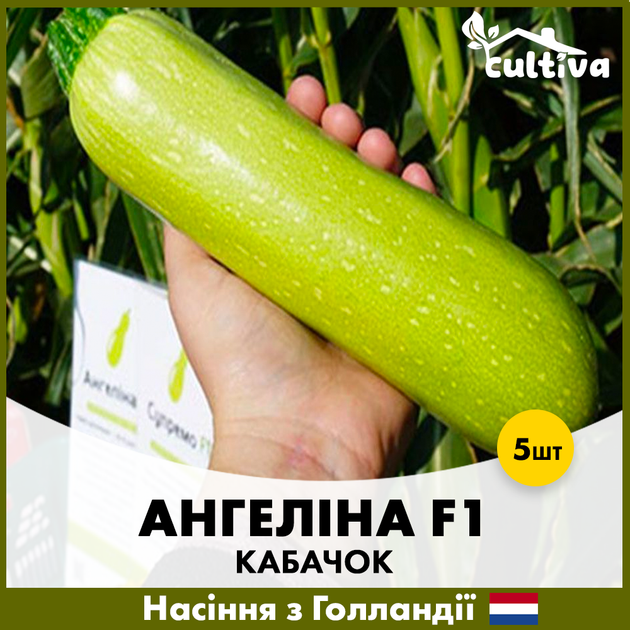 Голландське насіння Syngenta Кабачок Ангелина F1 5 шт - зображення 3