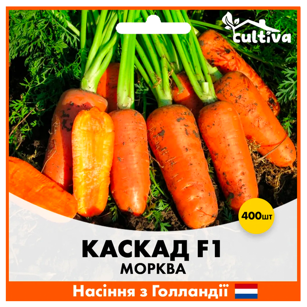 Голландське Насіння Bejo Морква Каскад F1 400 шт - зображення 3