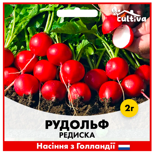 Голландське Насіння Bejo Редиска Рудольф , 2 г - Фото 2 Голландське Насіння Bejo Редиска Рудольф , 2 г - зображення 2