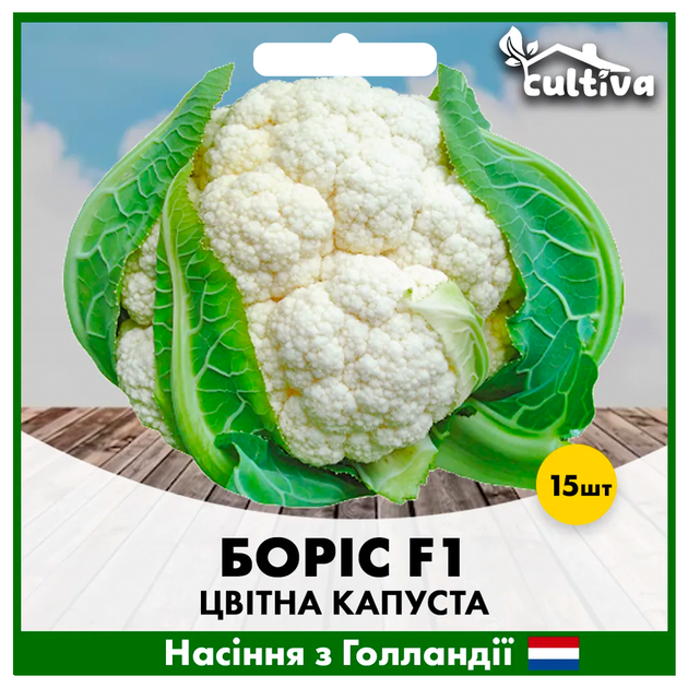 Голландське насіння Hazera Цвітна капуста Боріс F1 15 шт - Фото 2 Голландське насіння Hazera Цвітна капуста Боріс F1 15 шт - зображення 2