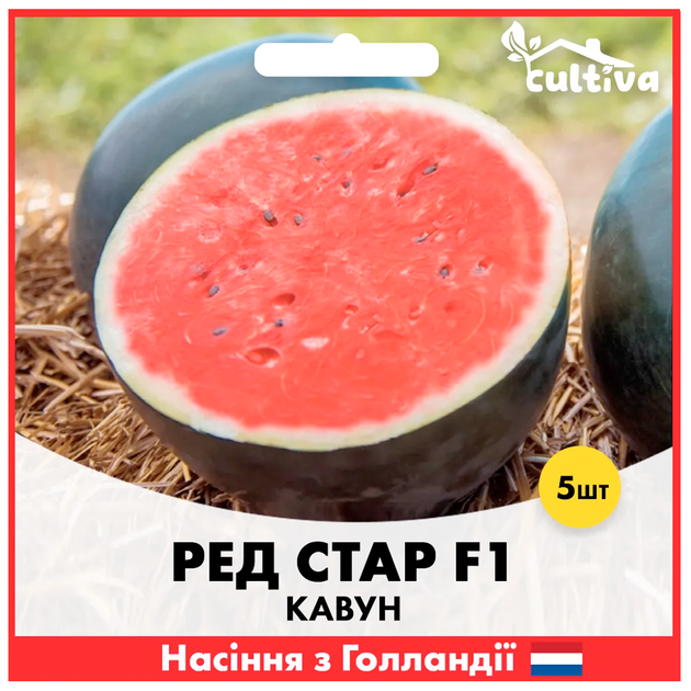Арбуз Ред Стар F1, 5 шт - изображение 2