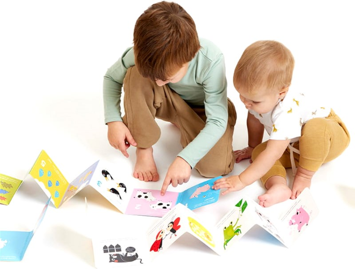 Zestaw książek CzuCzu Biblioteczka odkrywcy 4 szt (9788366762121) - obraz 5