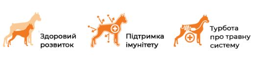 Сухой корм для щенков всех пород суперпремиум класса BonaCibo Puppy Курица 15 кг (BC405703) - изображение 5