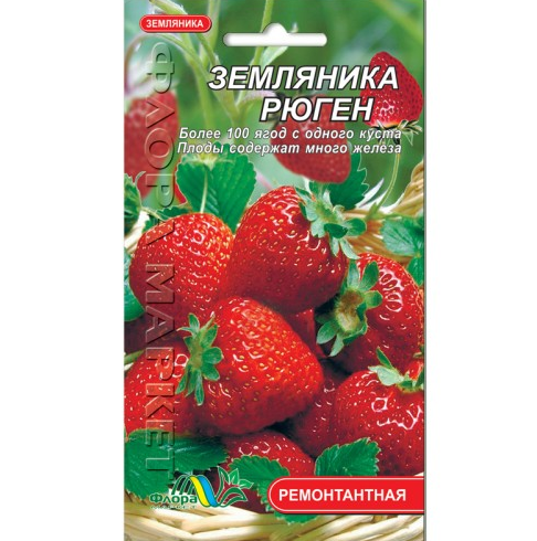 Семена Земляника Рюген 0.03 г ремонтантная - Фото 2 Семена Земляника Рюген 0.03 г ремонтантная - изображение 2