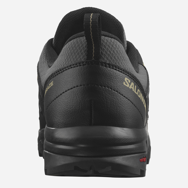 Чоловічі кросівки для трекінгу з Gore-Tex Salomon X Braze Gtx
