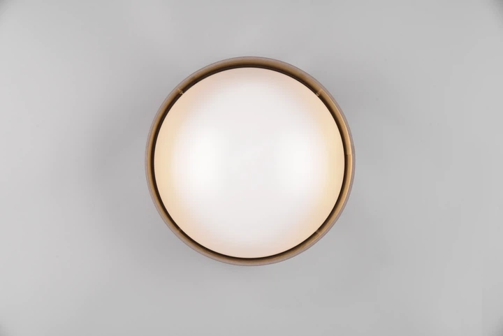 Люстра LED светодиодная потолочная Reality LOCARNO 12W 1160lm 3000K (R64191141) на кухню, для спальни, для гостиной - изображение 5