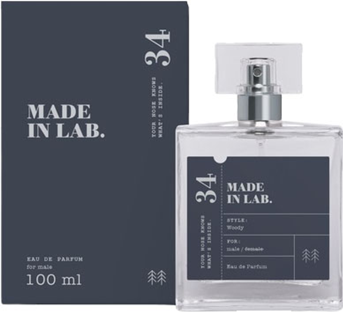 Парфумована вода для чоловіків Made In Lab 34 Men 100 мл (5902693164913) - зображення 1