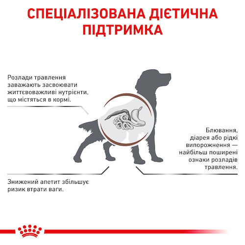 Сухой лечебный корм Royal Canin Gastro Intestinal Dog для собак при нарушениях пищеварения 2 кг (арт 39110201) - изображение 5