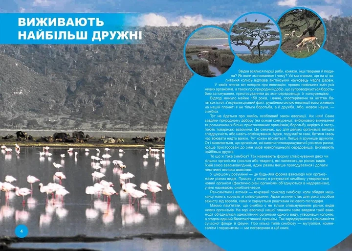 Хто з ким дружить, або дивовижі симбіозу (9789669890467) - зображення 2