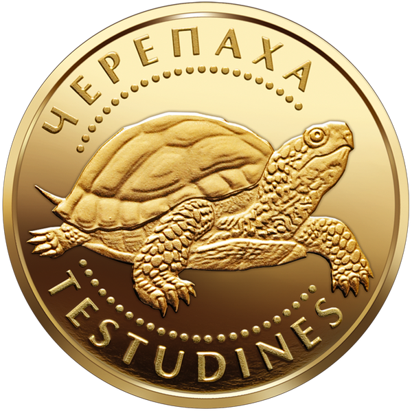 Монета Черепаха 2 грн. - зображення 3