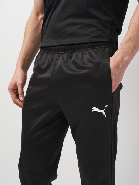 Спортивные штаны мужские Puma DRYCELL Active Tricot Pants 58673101