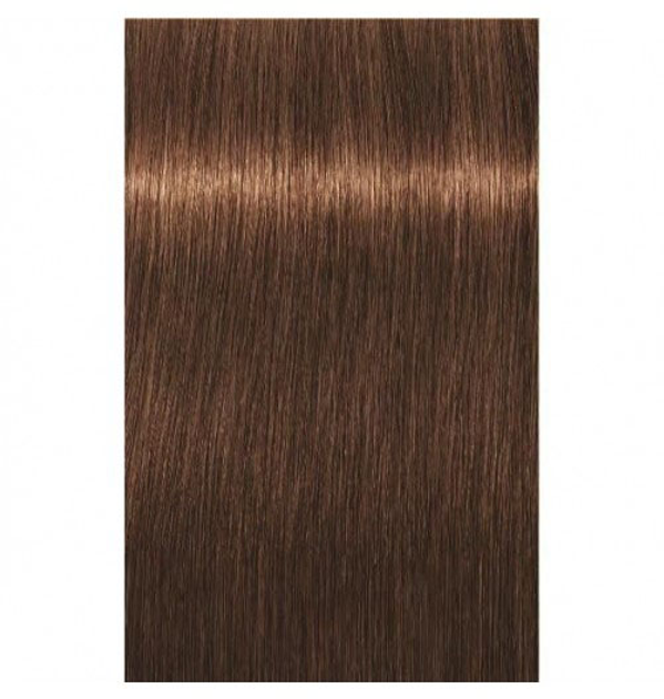 Стійка фарба для волосся Schwarzkopf Igora Royal Absolutes 6 - 460 Dark Blonde Beige Chocolate Natural 60 мл (4045787631647) - зображення 2