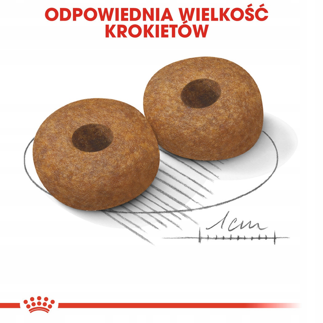 Sucha karma dla psów Royal Canin Medium Ageing 10+ 15kg (3182550802758) - obraz 4